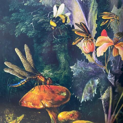 flora