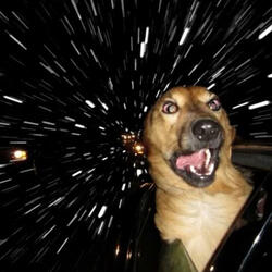 SPACE DOG (feat. PunPun & jordanxcorley)