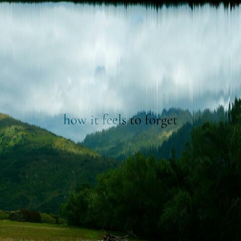 how it feels to forget