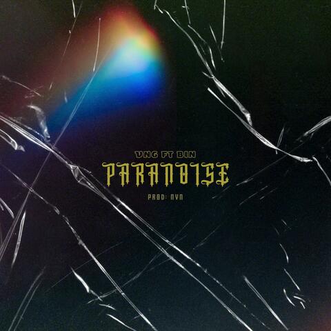 PARANOISE (feat. VNG & Beann)