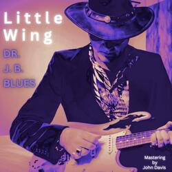 Little Wing