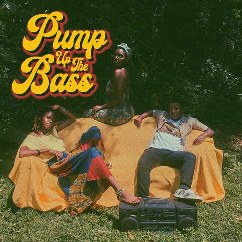 Pump Up the Basss