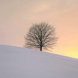 sayonara (if you must go)