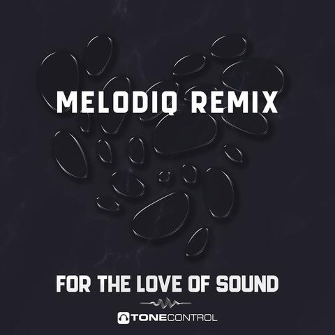 For The Love Of Sound (MelodiQ Remix)
