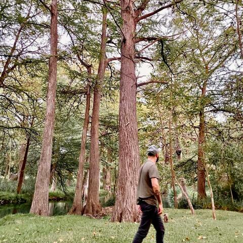 Sinking/Another Step/When Everyone Is Dancing