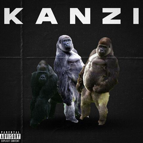 Kanzi