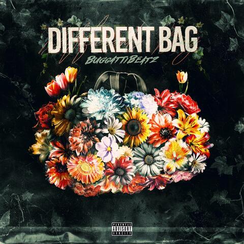 Different Bag