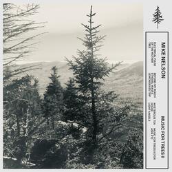 Electrical Pulse of the Mother Tree
