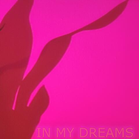 In My Dreams