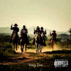 Wild Wild West