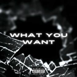 What You Want