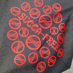 TwinBull PT2 (feat. Gmello)