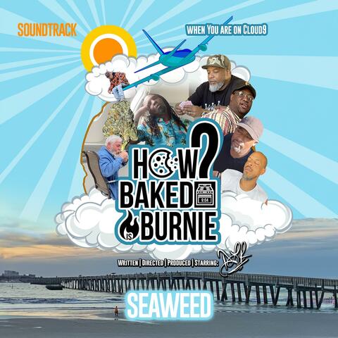 Seaweed