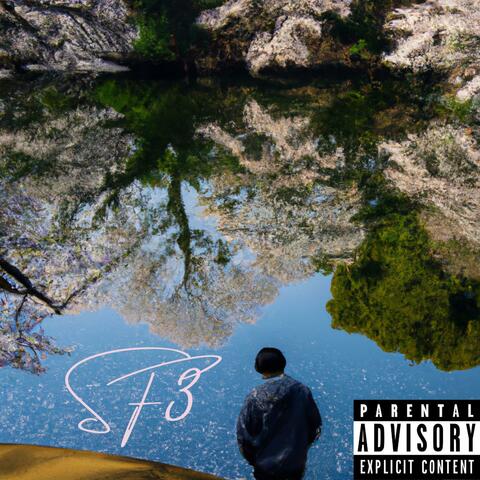 Spring Feelings 3 : Ultrasound