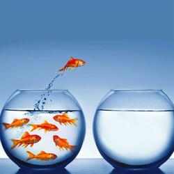 krotka piosenka o swagu