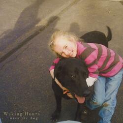 miss the dog