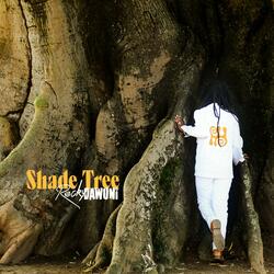 Shade Tree