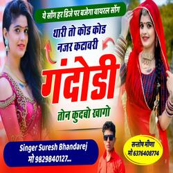 थारी तो कोड कोड नजर कटावरी गदौडी तोन कुदबो खागोll New Song