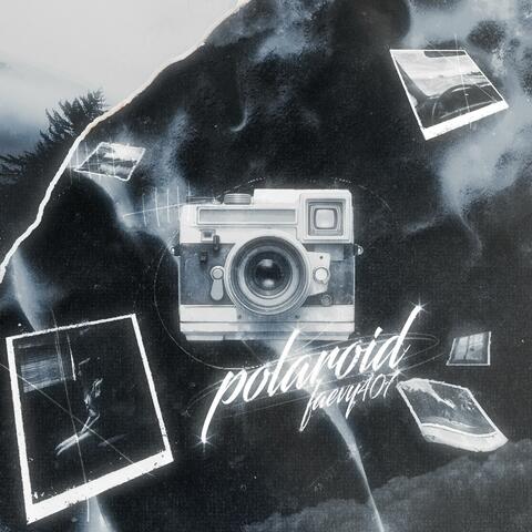 Polaroid
