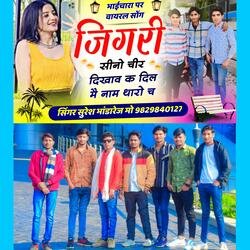 जिगरी सीनो चीर दिखाव क दिल म नाम थारो च ll Bhaichara Song
