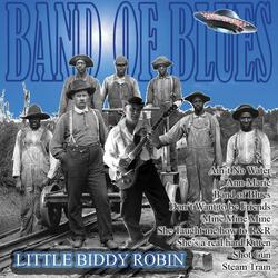 Little Biddy Robin