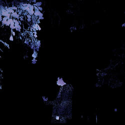 Purple Dreams (feat. ROLLIN THRAX)