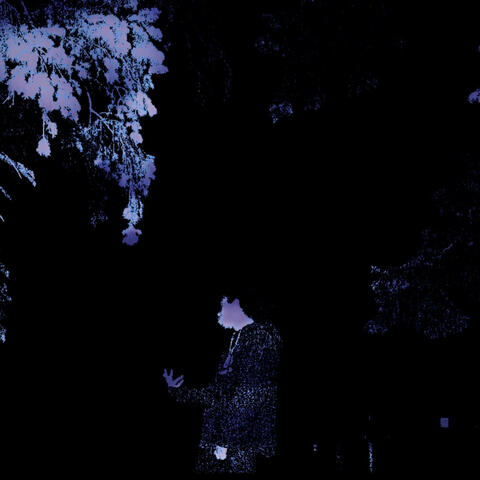 Purple Dreams (feat. ROLLIN THRAX)