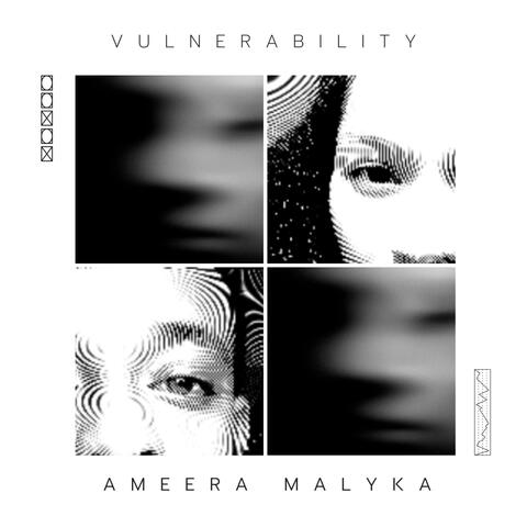 Vulnerability