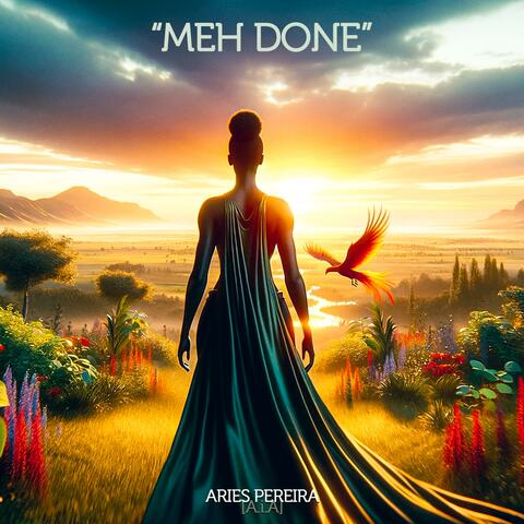 Meh Done (feat. Urban MindState)