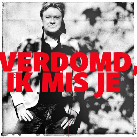 Verdomd, ik mis je (2024)