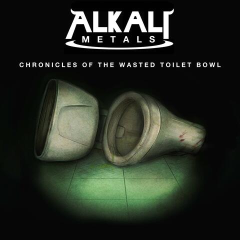 Chronicles of the Wasted Toilet Bowl