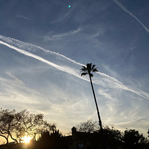Winter in LA