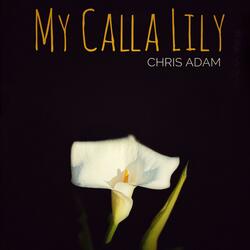 My Calla Lily