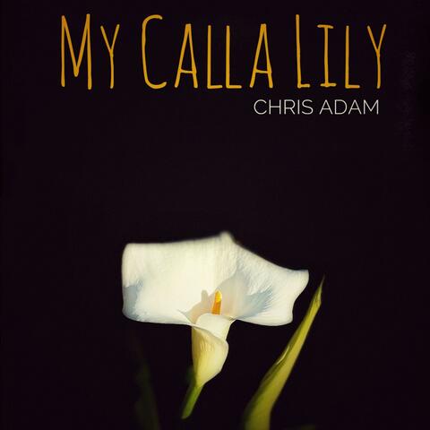 My Calla Lily