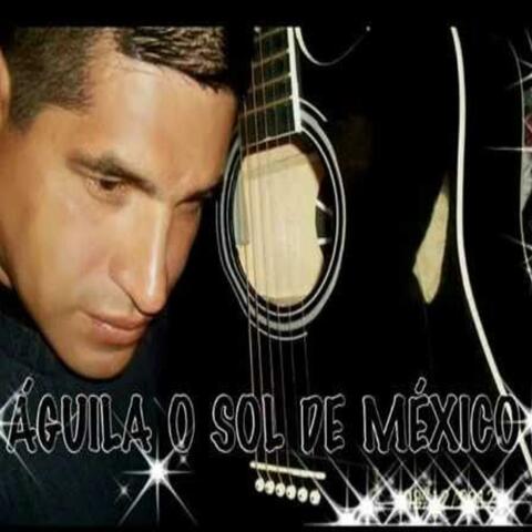 es por que estoy enamorado