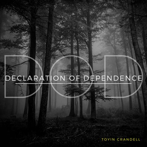 Declaration of Dependence
