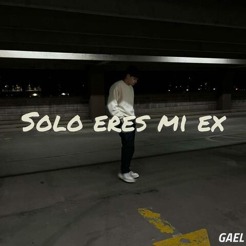 Solo eres mi ex