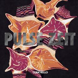 Pulse Zeit