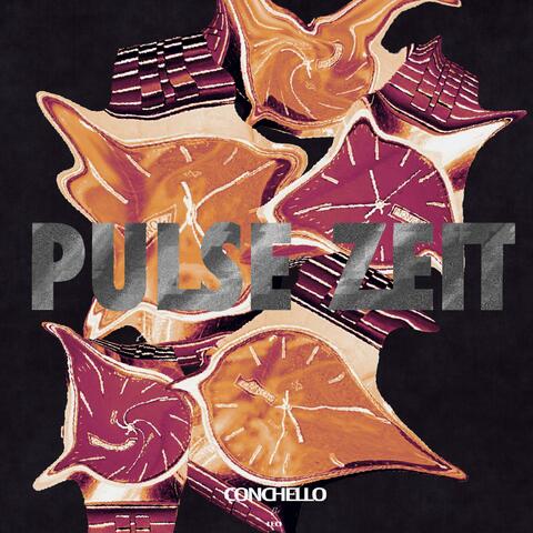 Pulse Zeit