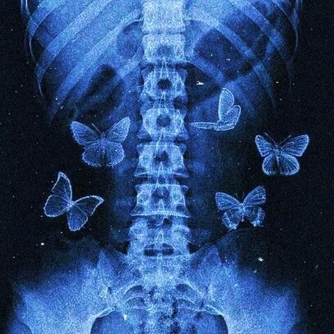 TILL DEATH DO US PART ll: Even In Death