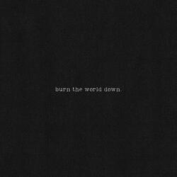 Burn The World Down