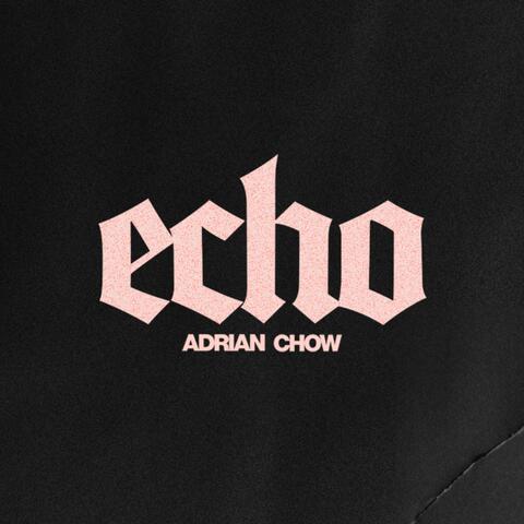 Echo