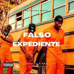 Falso Expediente