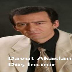 Düş incinir