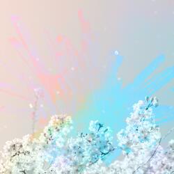 Dawn Mist