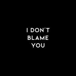 I Don't Blame You