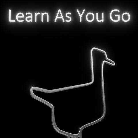 Learn As You Go