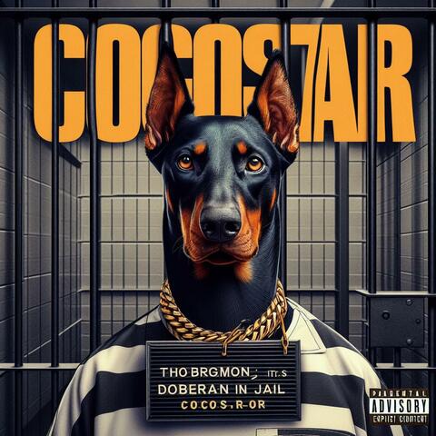 COCOSTAR