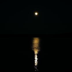 Moonglow
