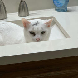 The rule of the mighty three